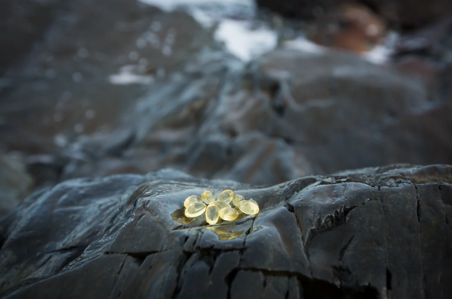 Raw dog food supplements, natural pet supplements, dog probiotic powder, raw goat milk for dogs, green-lipped mussel, omega-3 for dogs, kelp for dogs, turmeric for dogs, milk thistle for dogs, immune support for dogs, anti-inflammatory herbs, holistic pet care, natural dog wellness, herbal remedies for dogs.