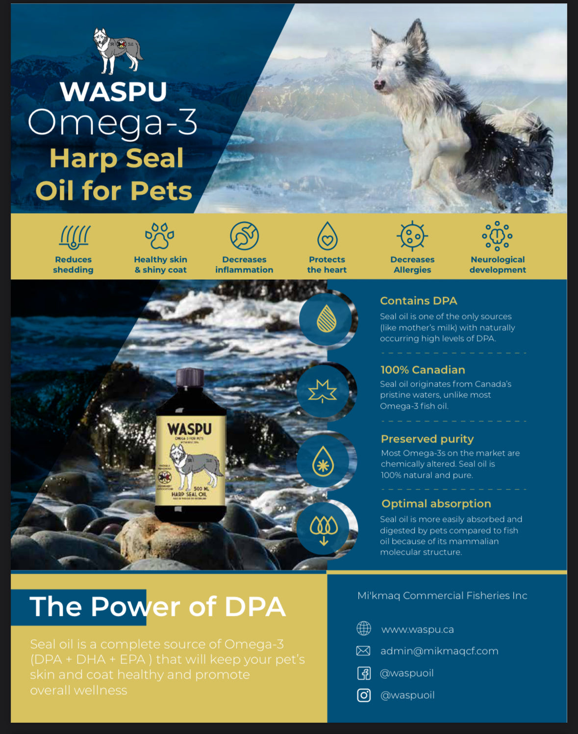 Raw dog food supplements, natural pet supplements, dog probiotic powder, raw goat milk for dogs, green-lipped mussel, omega-3 for dogs, kelp for dogs, turmeric for dogs, milk thistle for dogs, immune support for dogs, anti-inflammatory herbs, holistic pet care, natural dog wellness, herbal remedies for dogs, Ottawa, Local, Gatineau, Wakefield, Chelsea, Russel, Waspu Oil, Omega-3, Seal oil