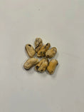 Load image into Gallery viewer, Raw dog food, raw pet food, frozen raw dog food, raw dog meals, natural raw dog food, raw food for dogs, BARF diet for dogs, biologically appropriate dog food, fresh raw dog food, healthy dog food, grain-free dog food, holistic dog food, raw dog food delivery, raw nutrition for pets, raw dog food Canada, Ottawa, Local, Gatineau, Wakefield, Chelsea, Russel, Freeze Dried, Treats, green lipped mussels