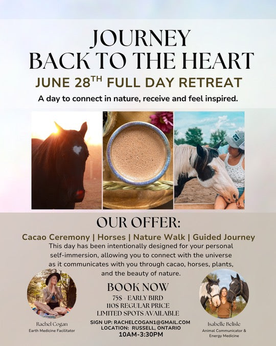 Animal healing workshops, animal communication events, holistic pet wellness workshops, dog energy healing, intuitive pet communication, pet Reiki events, canine wellness workshops, natural pet care classes, raw feeding education, dog health seminars, pet nutrition events, Ottawa dog wellness workshops, Chelsea animal healing, Wakefield dog events.