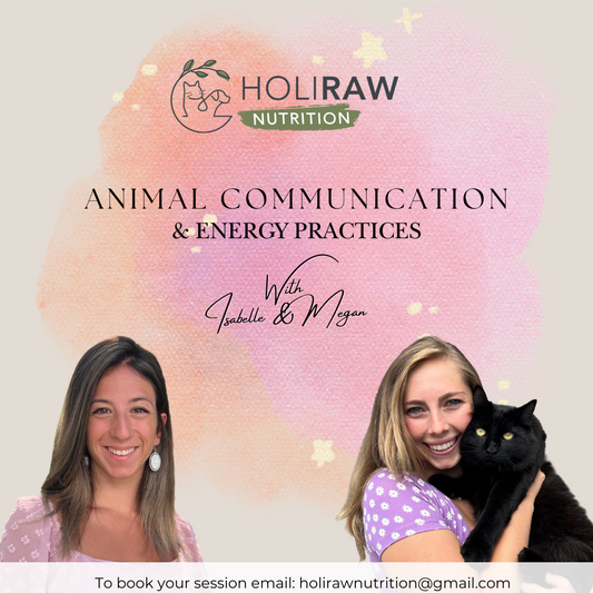 Raw dog food, biologically appropriate dog food, holistic dog food, raw pet food Canada, raw dog food delivery, pet wellness events, animal healing workshops, intuitive animal communication, natural pet care, dog health education, dog wellness retreats, pet nutrition workshops, Ottawa and Gatineau pet events