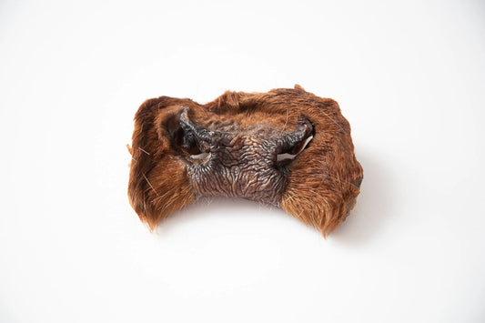 Raw dog food, raw pet food, frozen raw dog food, raw dog meals, natural raw dog food, raw food for dogs, BARF diet for dogs, biologically appropriate dog food, fresh raw dog food, healthy dog food, grain-free dog food, holistic dog food, raw dog food delivery, raw nutrition for pets, raw dog food Canada, Ottawa, Local, Gatineau, Wakefield, Chelsea, Russel, Dehydrated, beef snouts