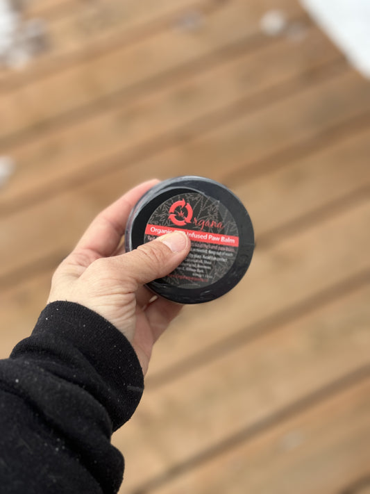 Raw beef dog food, raw chicken dog food, raw turkey dog food, raw lamb dog food, raw bones for dogs, organ meat for dogs, dog food with tripe, dehydrated raw dog food, freeze-dried raw dog food, pre-portioned raw meals, homemade-style raw dog food, raw dog food patties, raw dog food chubs.