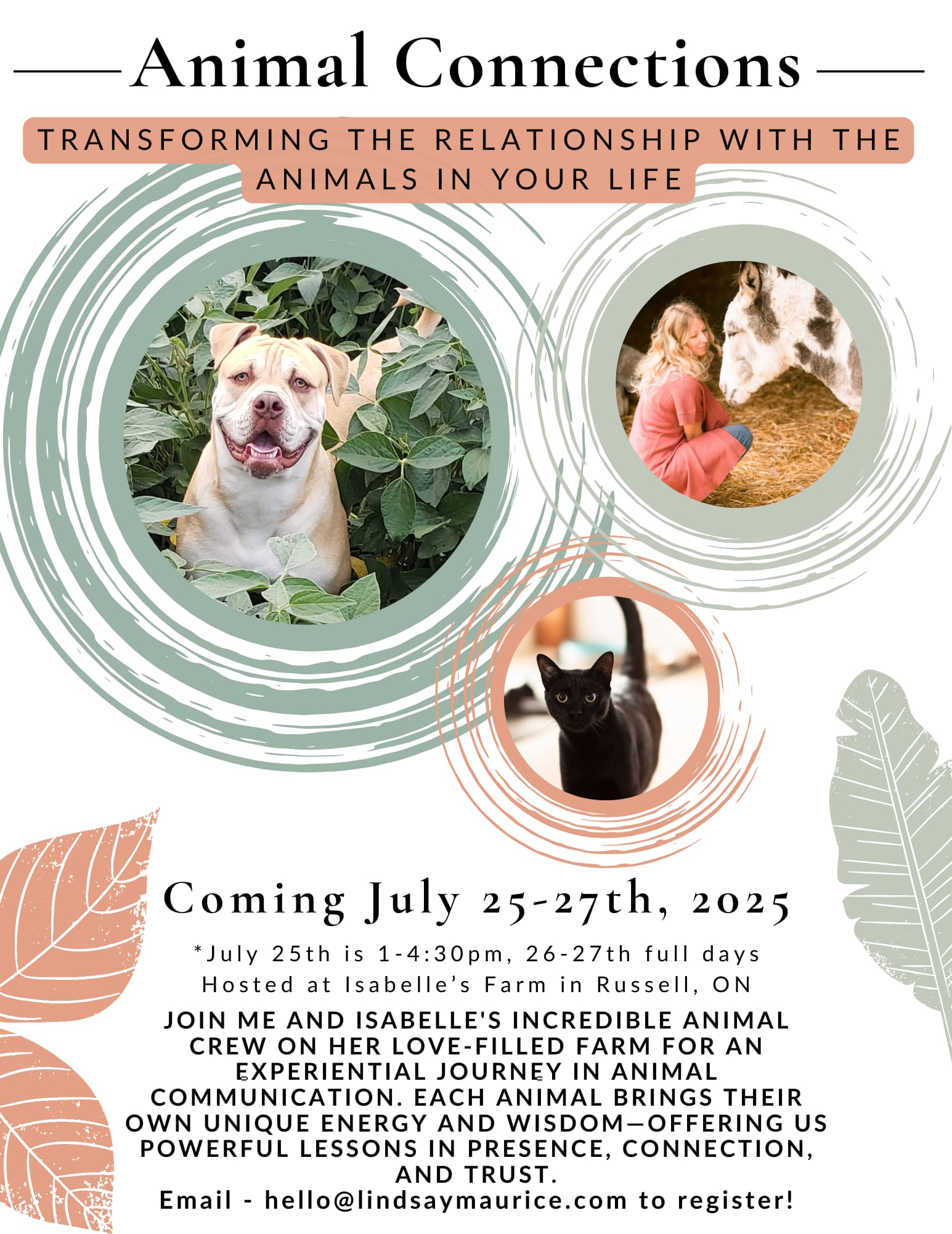 Animal Connections - Transforming the Relationship With the Animals in Your Life (DEPOSIT)