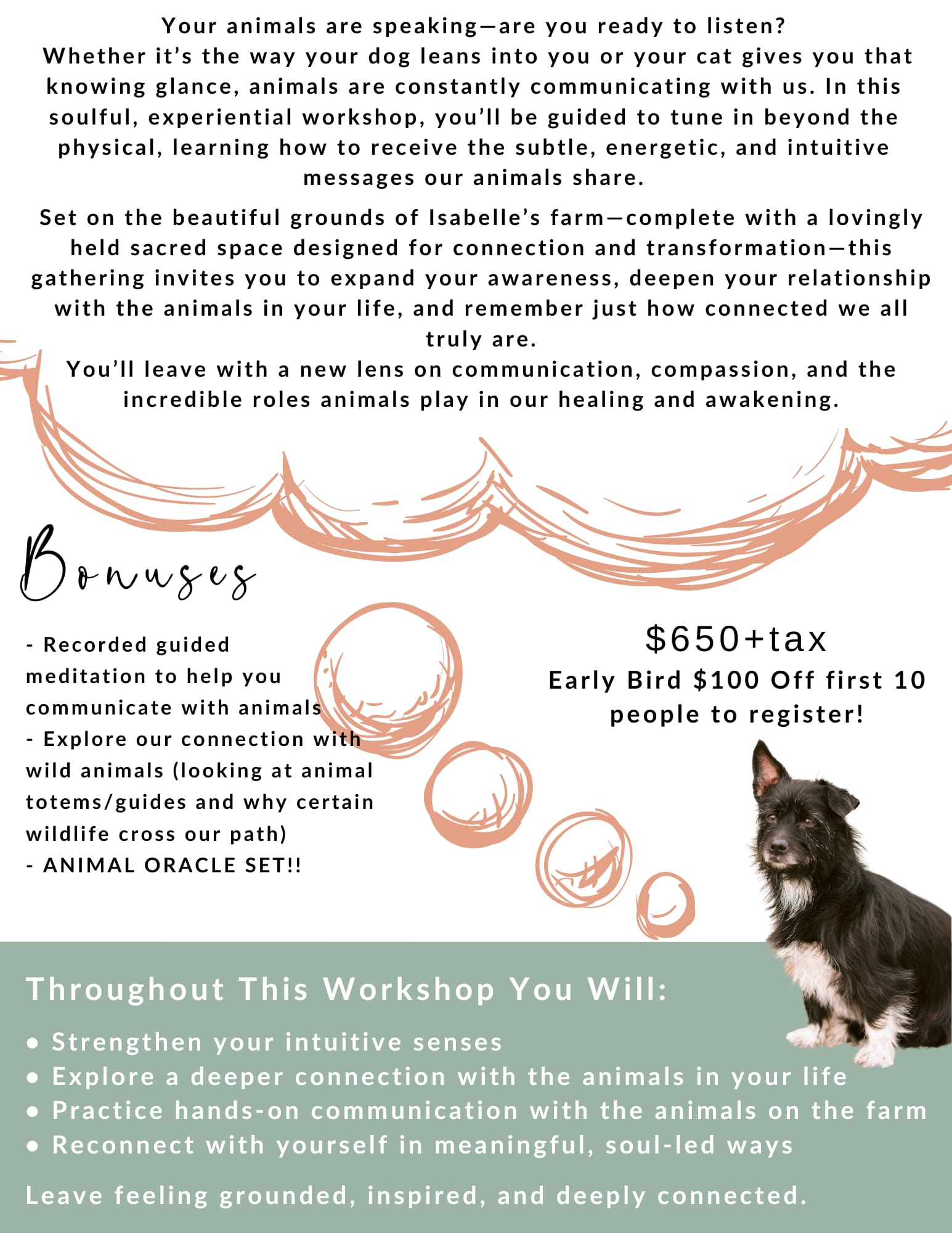 Animal Connections - Transforming the Relationship With the Animals in Your Life (DEPOSIT)
