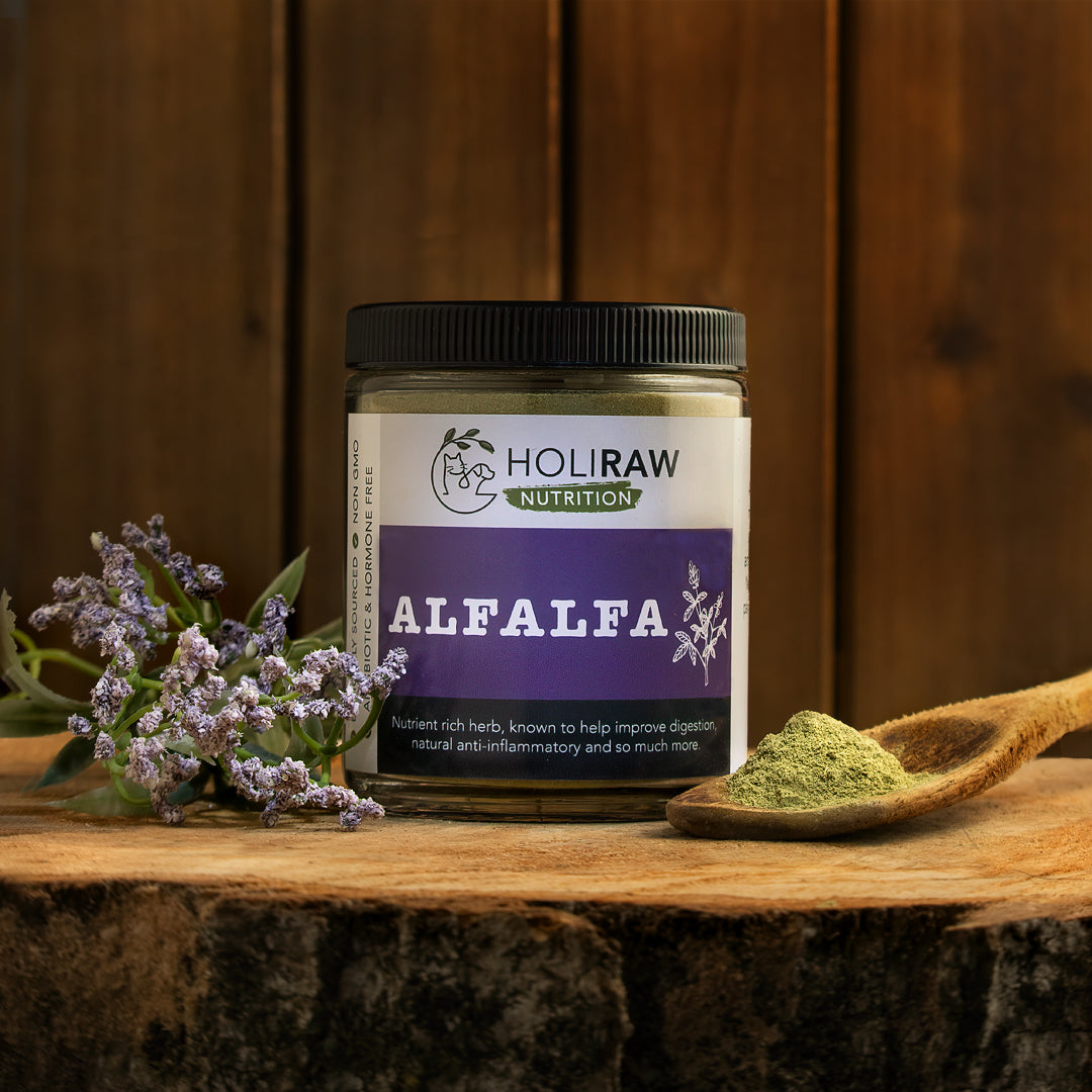 Raw dog food supplements, natural pet supplements, dog probiotic powder, raw goat milk for dogs, green-lipped mussel, omega-3 for dogs, kelp for dogs, turmeric for dogs, milk thistle for dogs, immune support for dogs, anti-inflammatory herbs, holistic pet care, natural dog wellness, herbal remedies for dogs, Ottawa, Local, Gatineau, Wakefield, Chelsea, Russel, Alfalfa