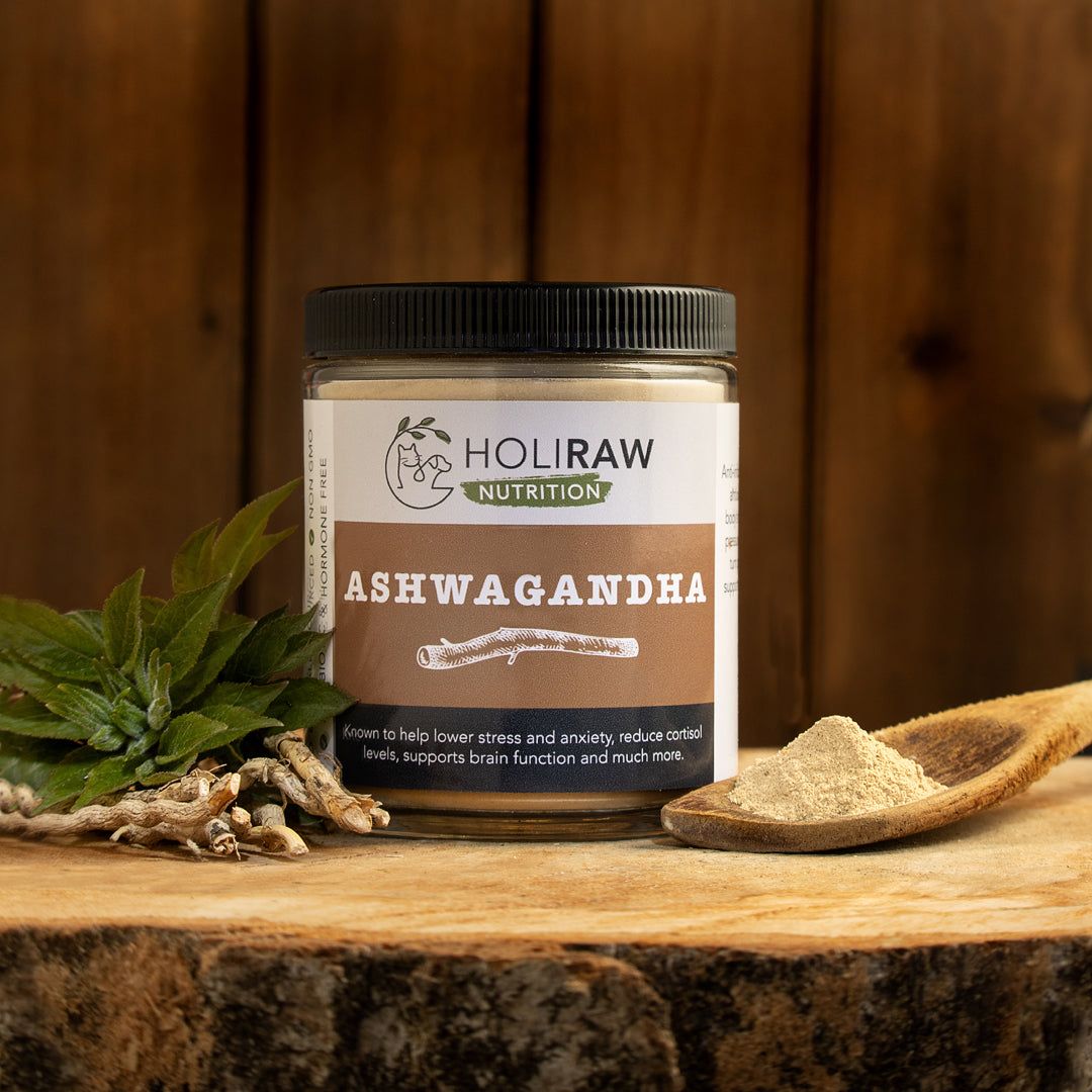 Raw dog food supplements, natural pet supplements, dog probiotic powder, raw goat milk for dogs, green-lipped mussel, omega-3 for dogs, kelp for dogs, turmeric for dogs, milk thistle for dogs, immune support for dogs, anti-inflammatory herbs, holistic pet care, natural dog wellness, herbal remedies for dogs, Ottawa, Local, Gatineau, Wakefield, Chelsea, Russel, ashwagandha