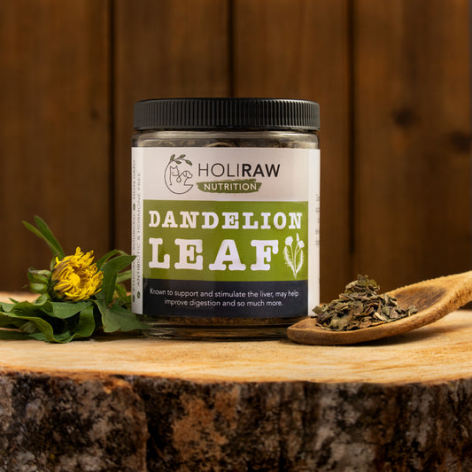 Raw dog food supplements, natural pet supplements, dog probiotic powder, raw goat milk for dogs, green-lipped mussel, omega-3 for dogs, kelp for dogs, turmeric for dogs, milk thistle for dogs, immune support for dogs, anti-inflammatory herbs, holistic pet care, natural dog wellness, herbal remedies for dogs, Ottawa, Local, Gatineau, Wakefield, Chelsea, Russel, Dandelion Leaf