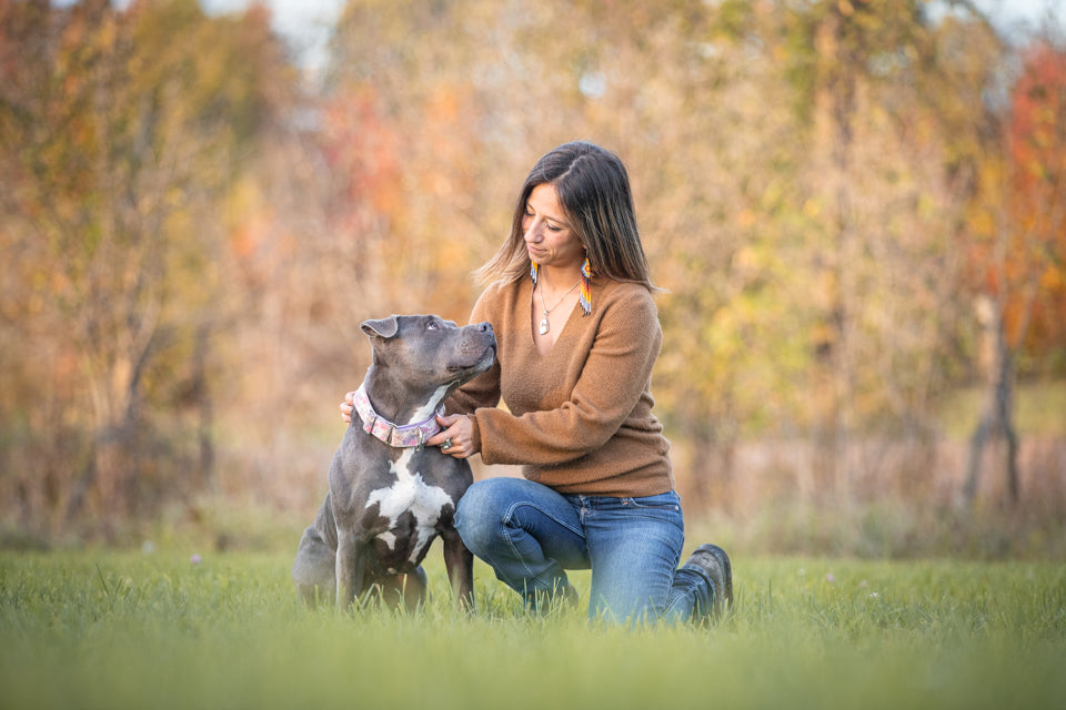 Raw dog food, biologically appropriate dog food, holistic dog food, raw pet food Canada, raw dog food delivery, pet wellness events, animal healing workshops, intuitive animal communication, natural pet care, dog health education, dog wellness retreats, pet nutrition workshops, Ottawa and Gatineau pet events