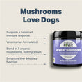 Load image into Gallery viewer, Raw dog food supplements, natural pet supplements, dog probiotic powder, raw goat milk for dogs, green-lipped mussel, omega-3 for dogs, kelp for dogs, turmeric for dogs, milk thistle for dogs, immune support for dogs, anti-inflammatory herbs, holistic pet care, natural dog wellness, herbal remedies for dogs, Ottawa, Local, Gatineau, Wakefield, Chelsea, Russel, four leaf rover, seven shrooms, natural immune support