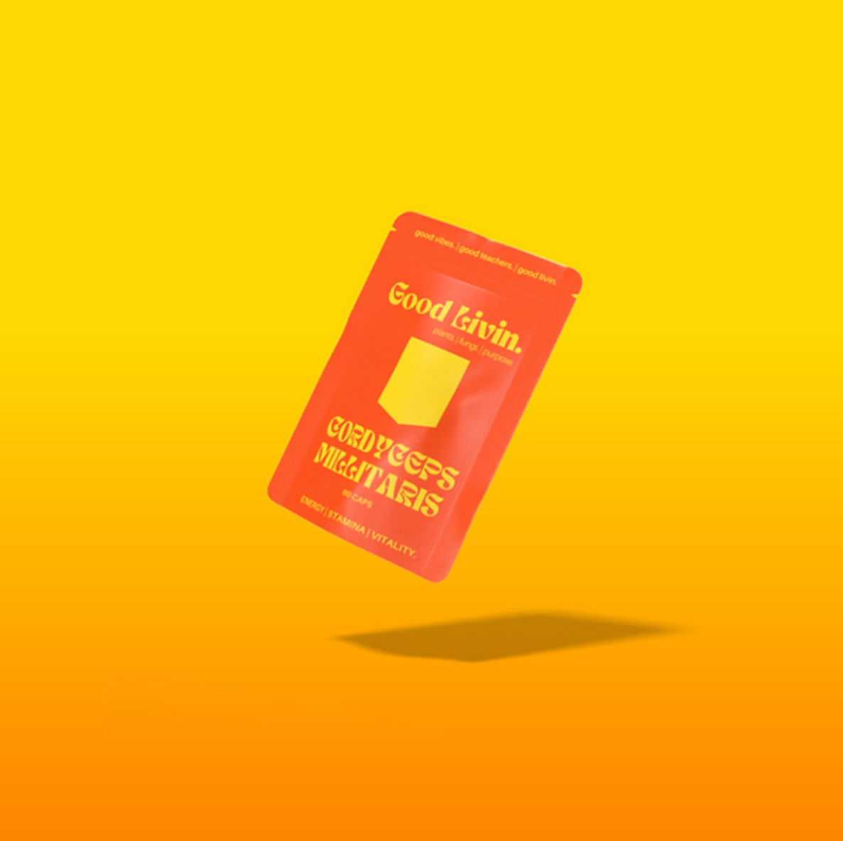 Raw dog food supplements, natural pet supplements, dog probiotic powder, raw goat milk for dogs, green-lipped mussel, omega-3 for dogs, kelp for dogs, turmeric for dogs, milk thistle for dogs, immune support for dogs, anti-inflammatory herbs, holistic pet care, natural dog wellness, herbal remedies for dogs.