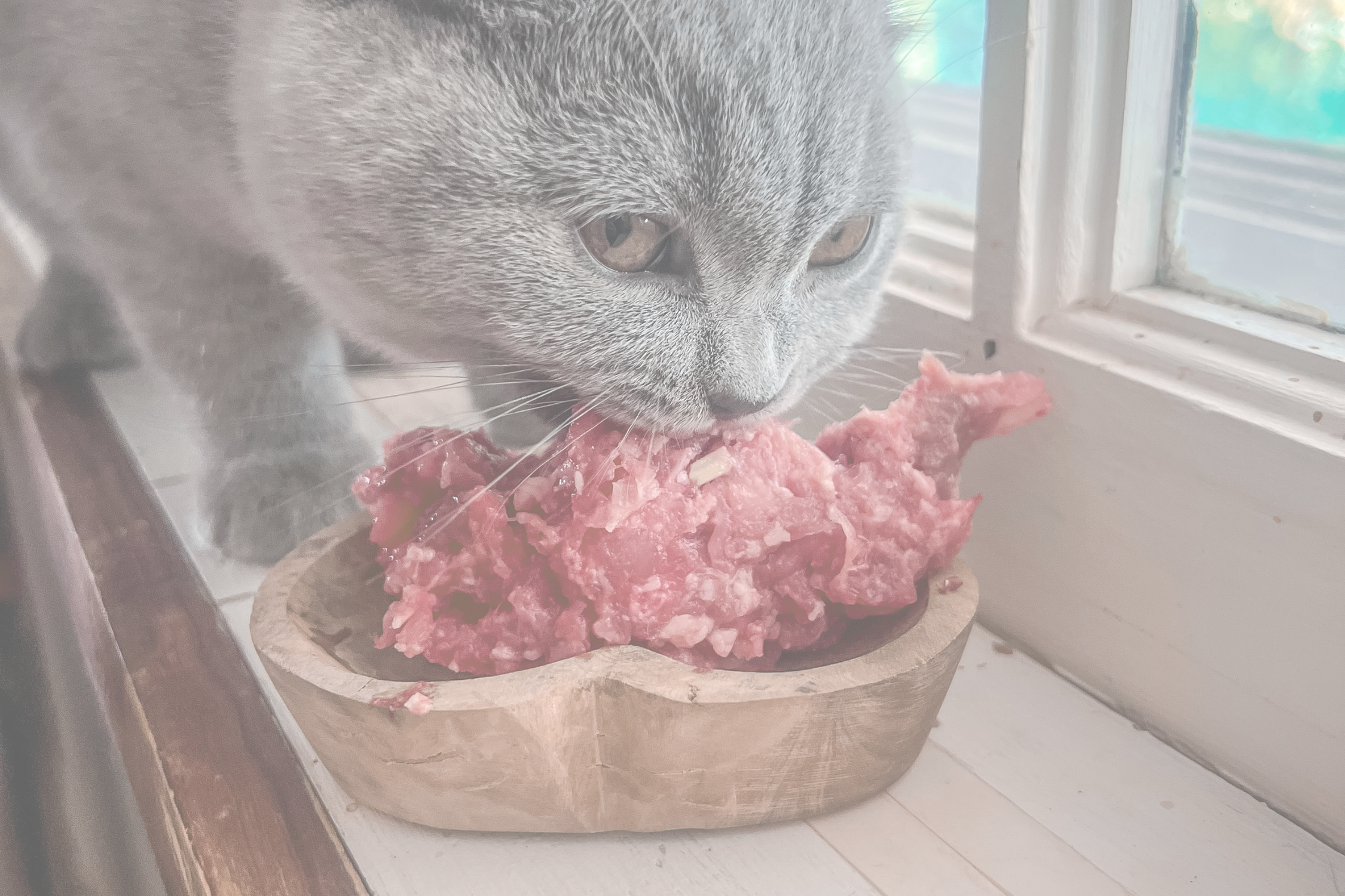 Raw Food