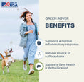 Load image into Gallery viewer, Green Rover
