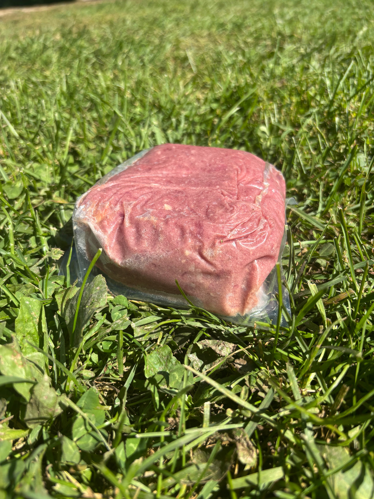 HoliRaw Porky (Pucks)