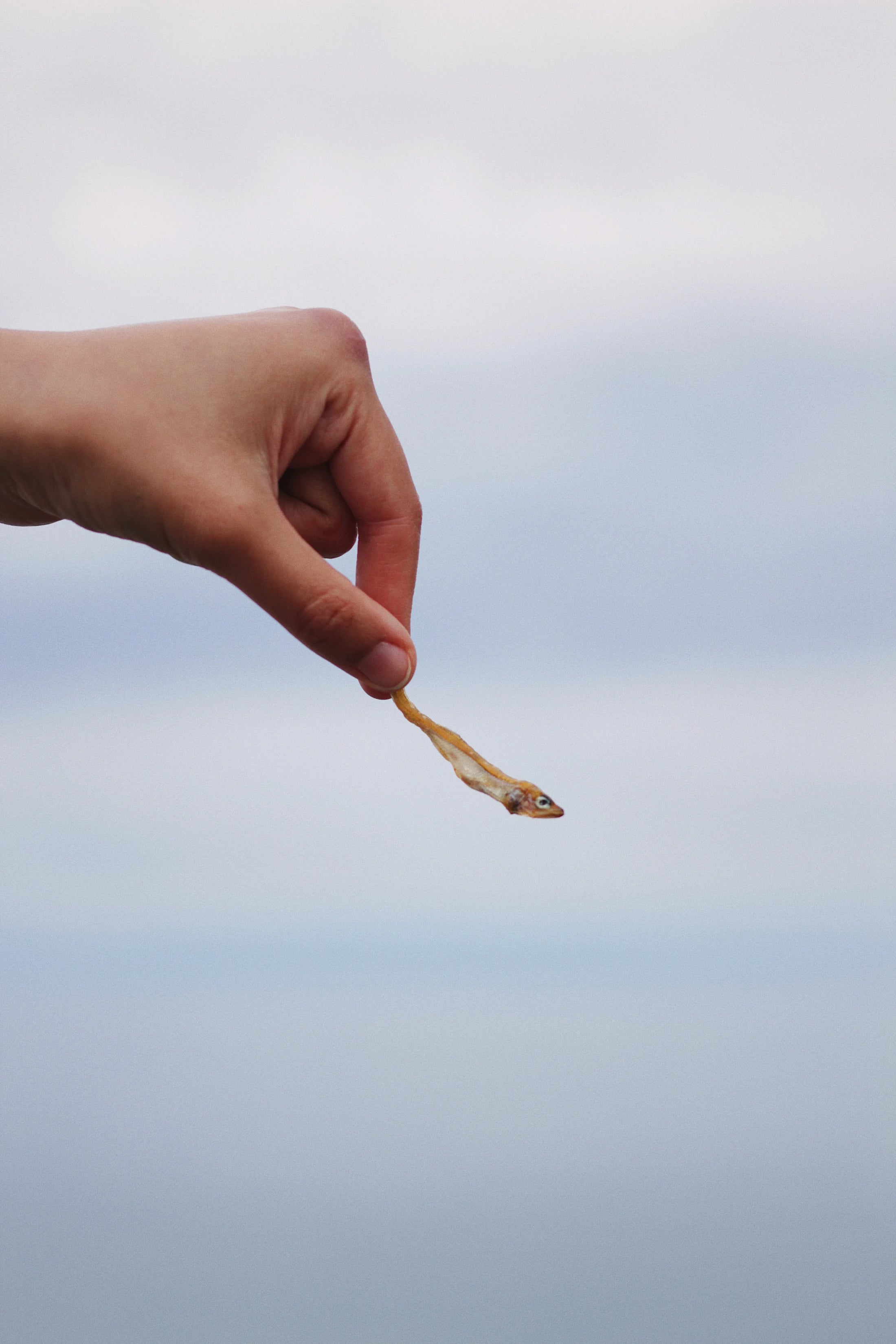 Freshwater Smelts Crisps