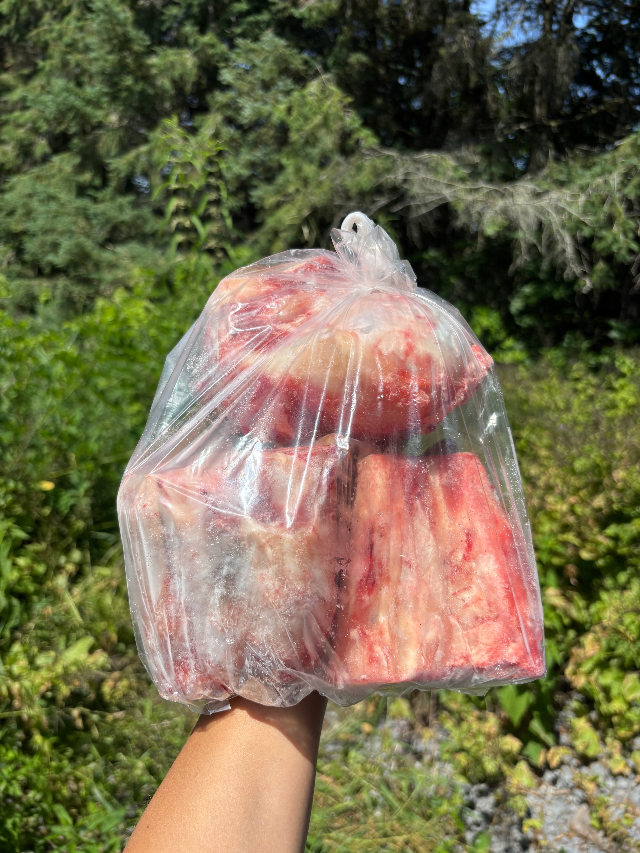 Beef bones