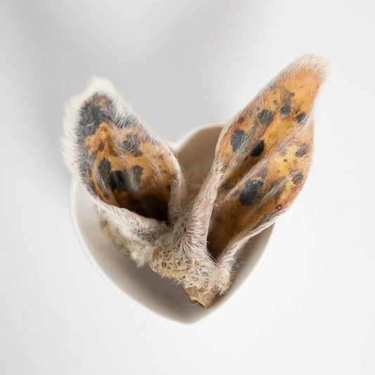 Lamb Ears