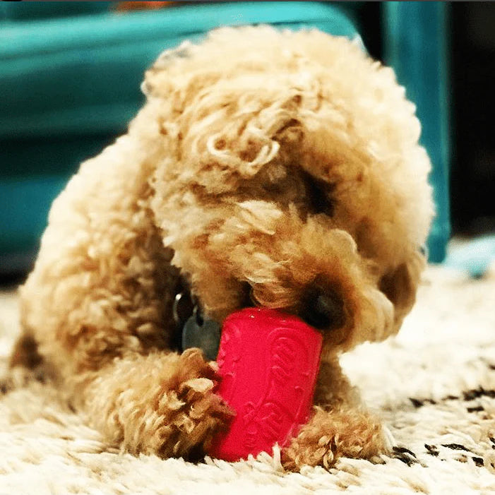 Puppy can toy treat dispenser