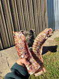Load image into Gallery viewer, Dehydrated beef tracheas (2pcs)
