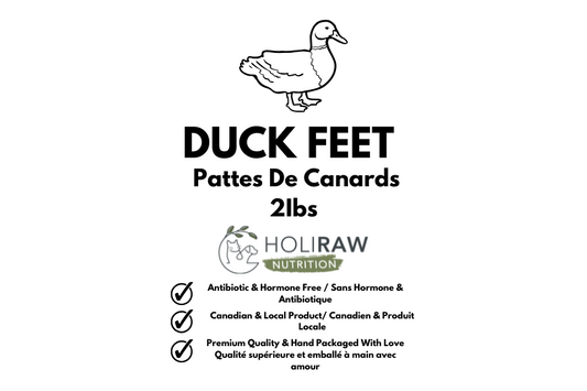 Duck Feet