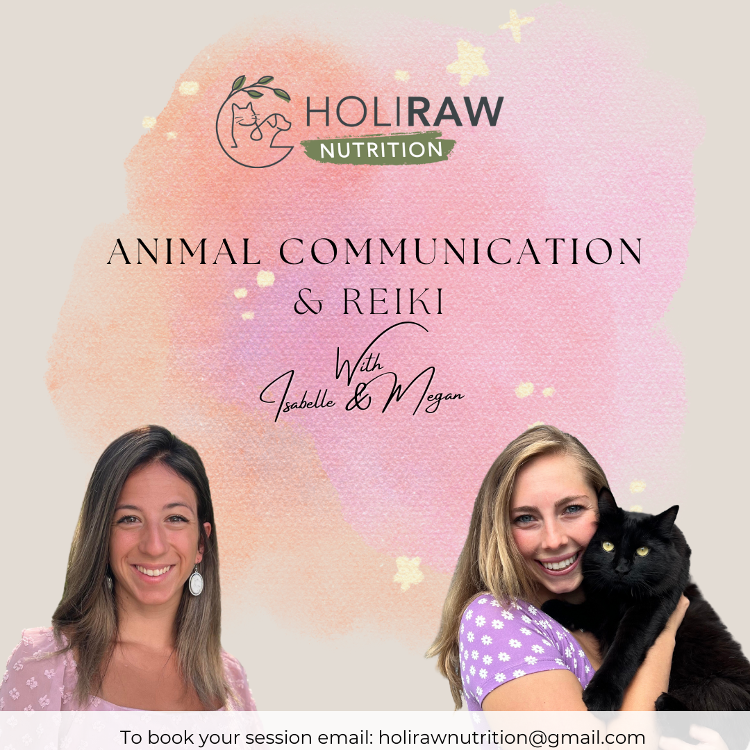 Animal Communication & Reiki