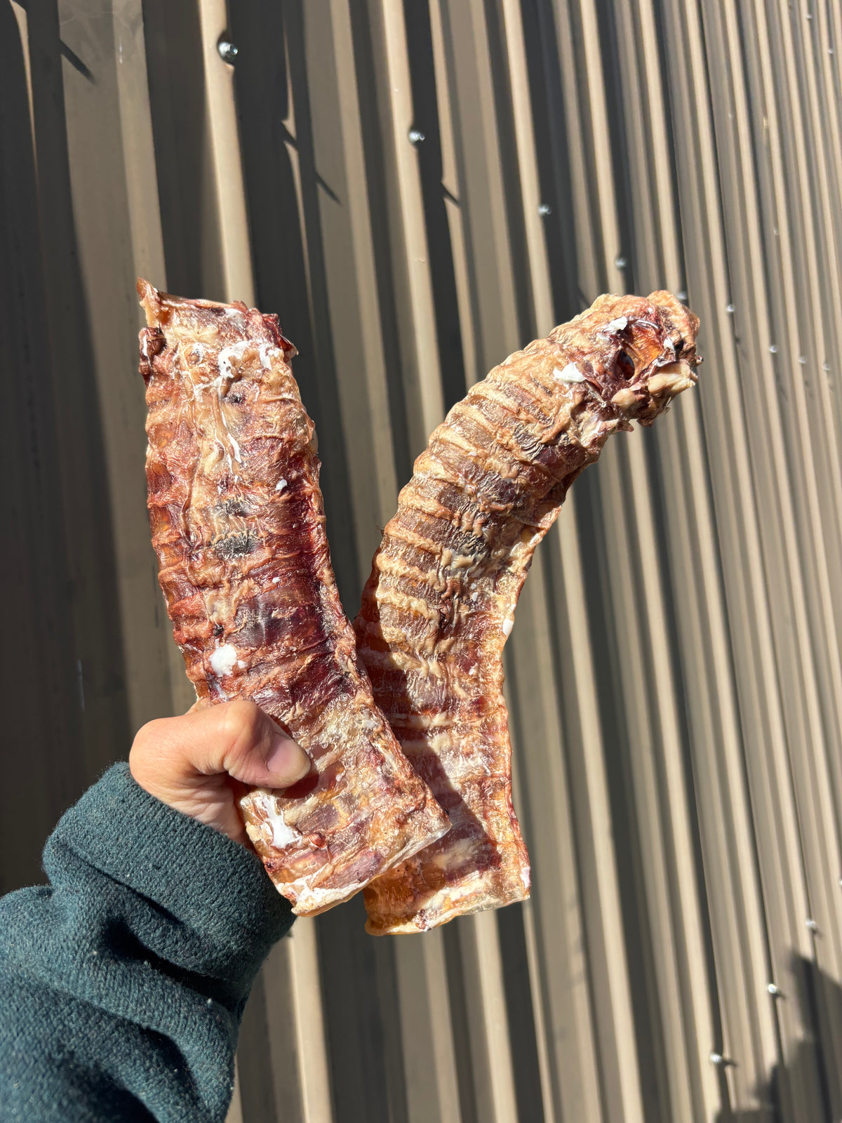 Dehydrated beef tracheas (2pcs)