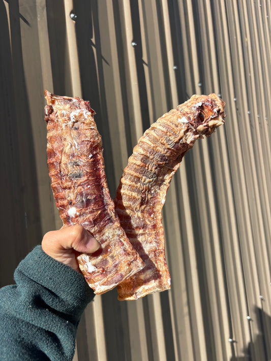Dehydrated beef tracheas (2pcs)