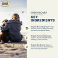 Load image into Gallery viewer, Green Rover
