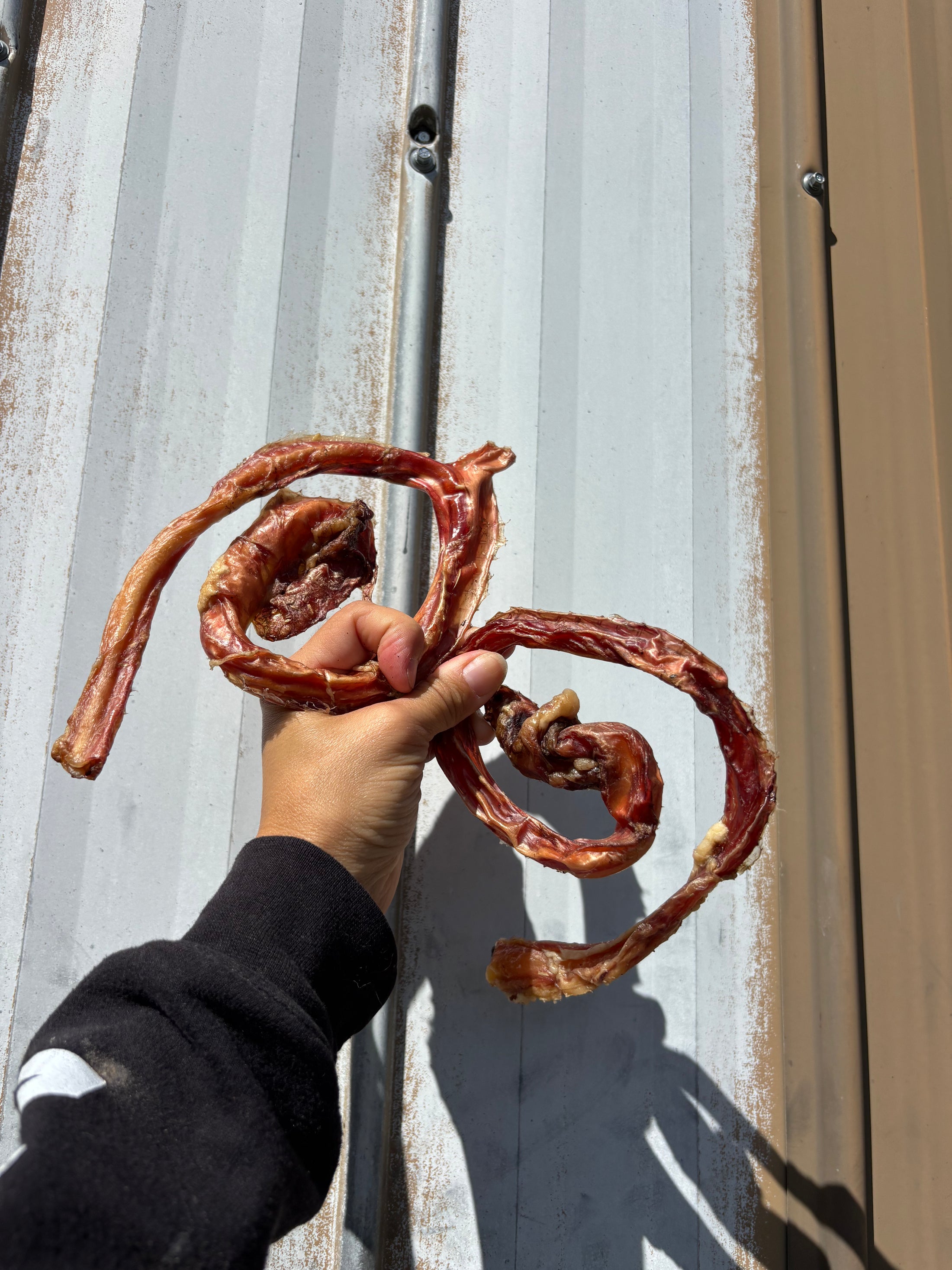 Beef pizzles chew stick