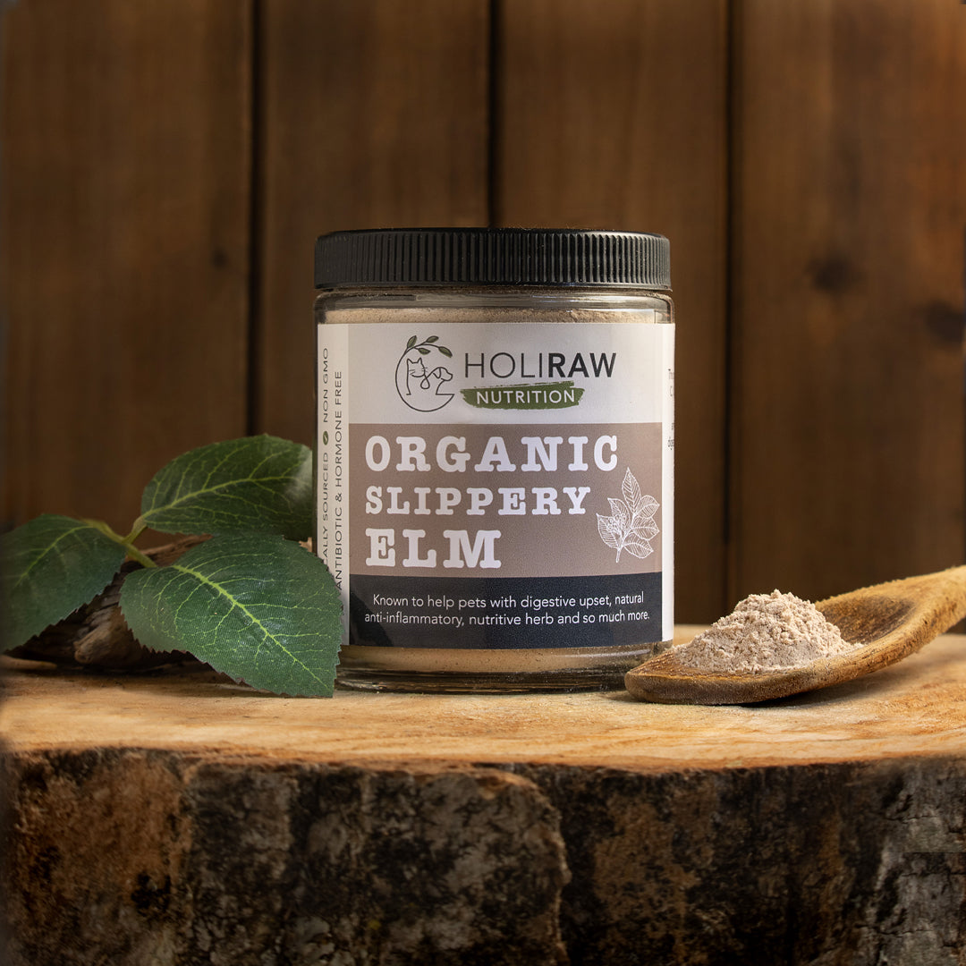 HoliRaw Organic Slippery Elm