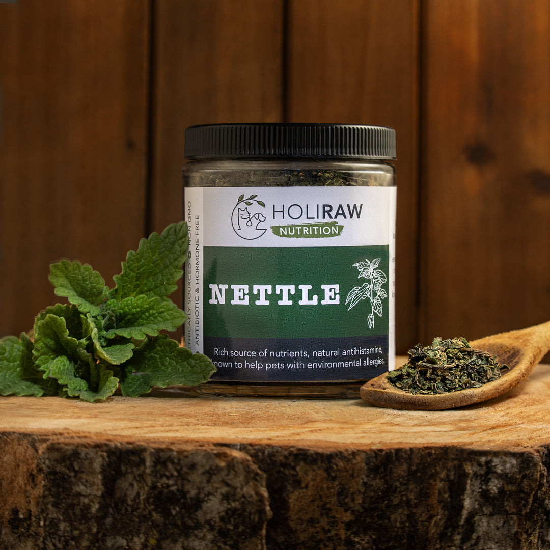 HoliRaw Nettle