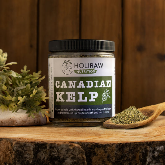 HoliRaw Canadian Kelp