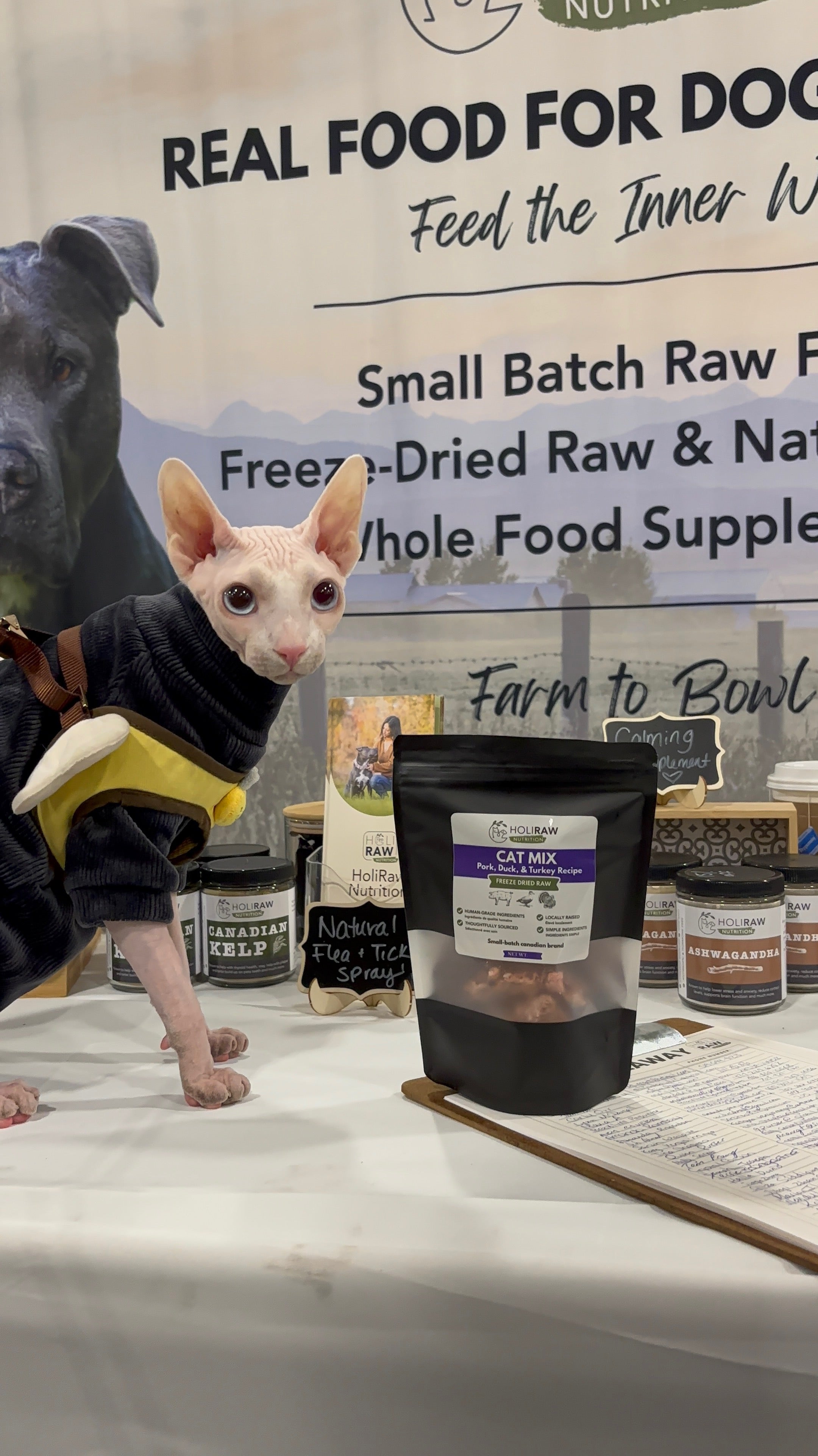 Freeze dried cat mix