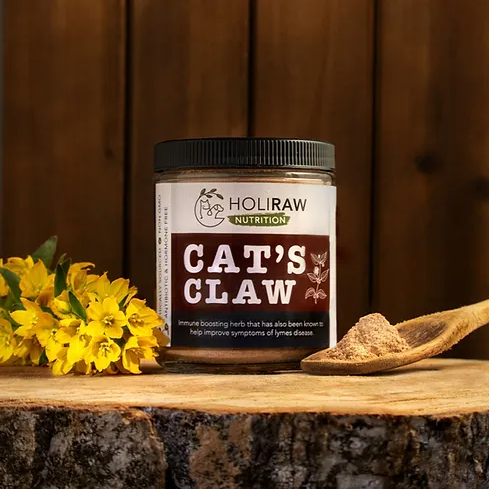 HoliRaw Cat's Claw